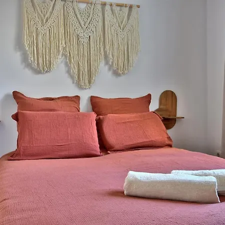 Chaleureux T2 A 15 Min De Lyon * Villeurbanne